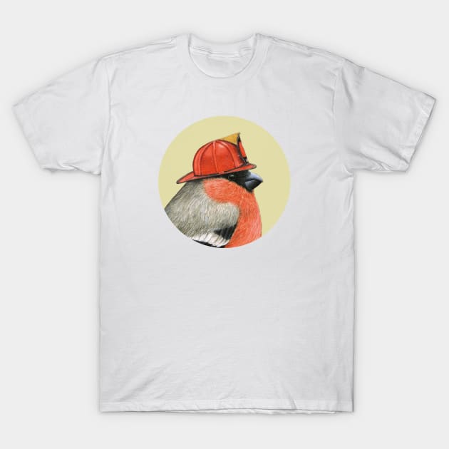 Eurasian bullfinch T-Shirt by Mikhail Vedernikov